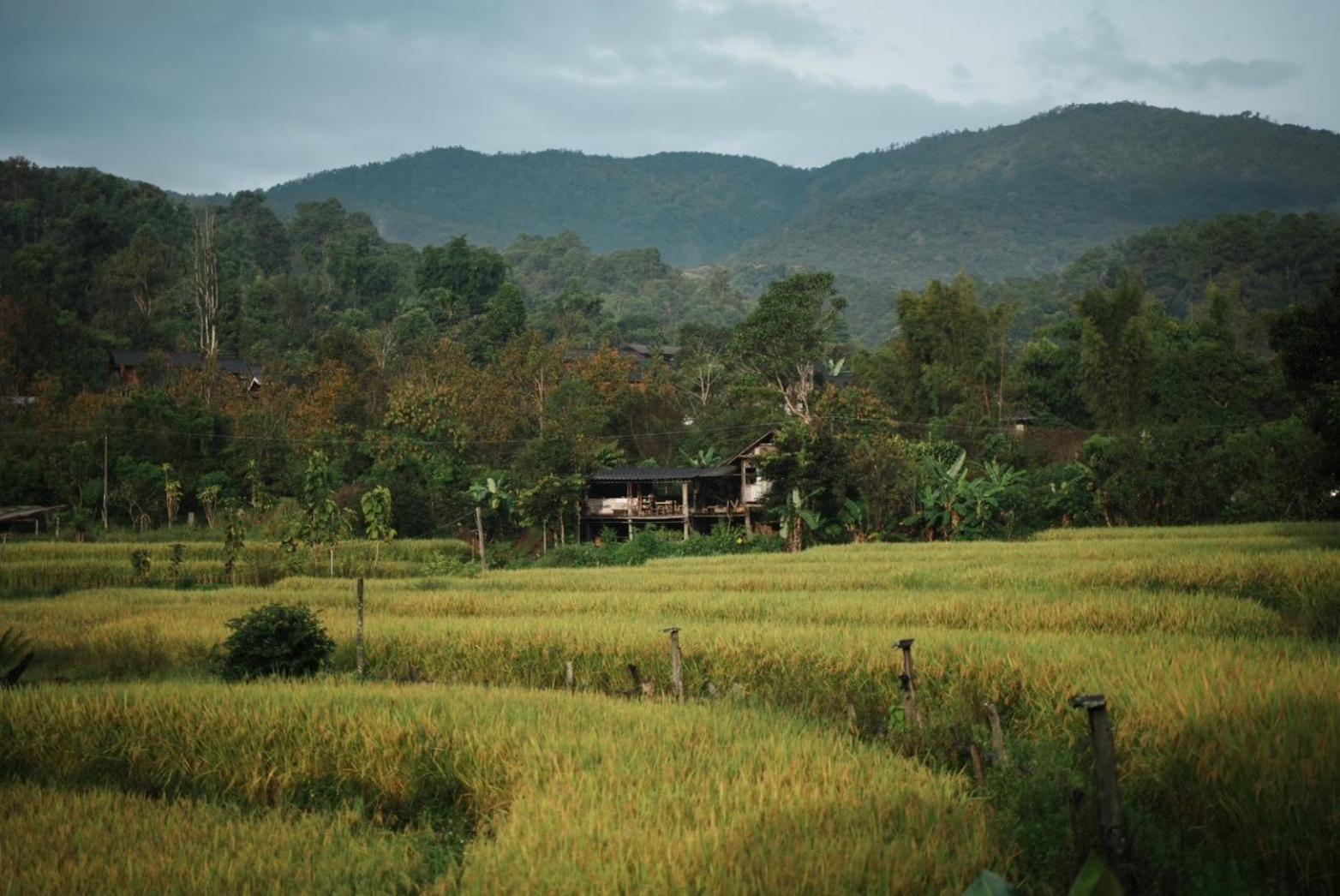 Hostel Por Joi ,Por Dee House Čiang Mai Exteriér fotografie